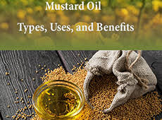 Mustard Oil: Types, Uses, and Benefits