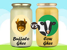 Top Factors to Consider When Choosing Between Cow Ghee and Buffalo Ghee